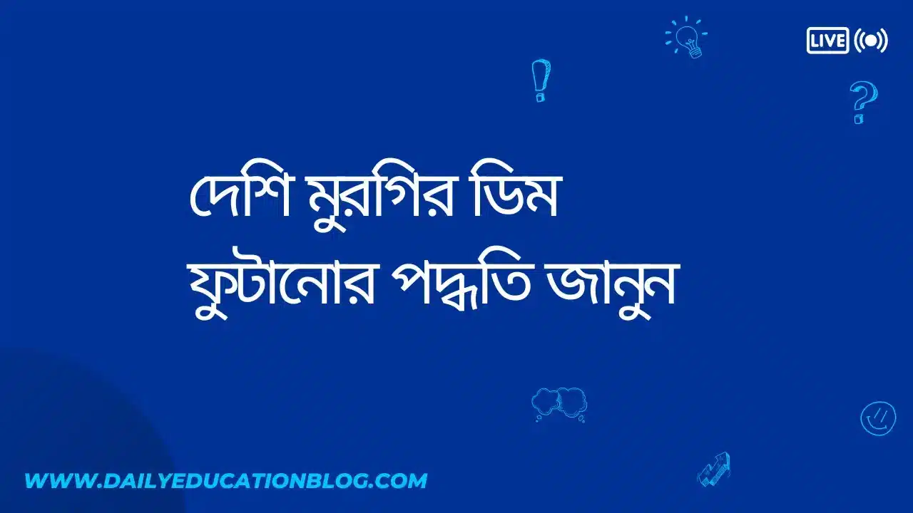 দেশি মুরগির ডিম ফুটানোর পদ্ধতি | মুরগির বাচ্চা উৎপাদন/ডিম ফুটানো