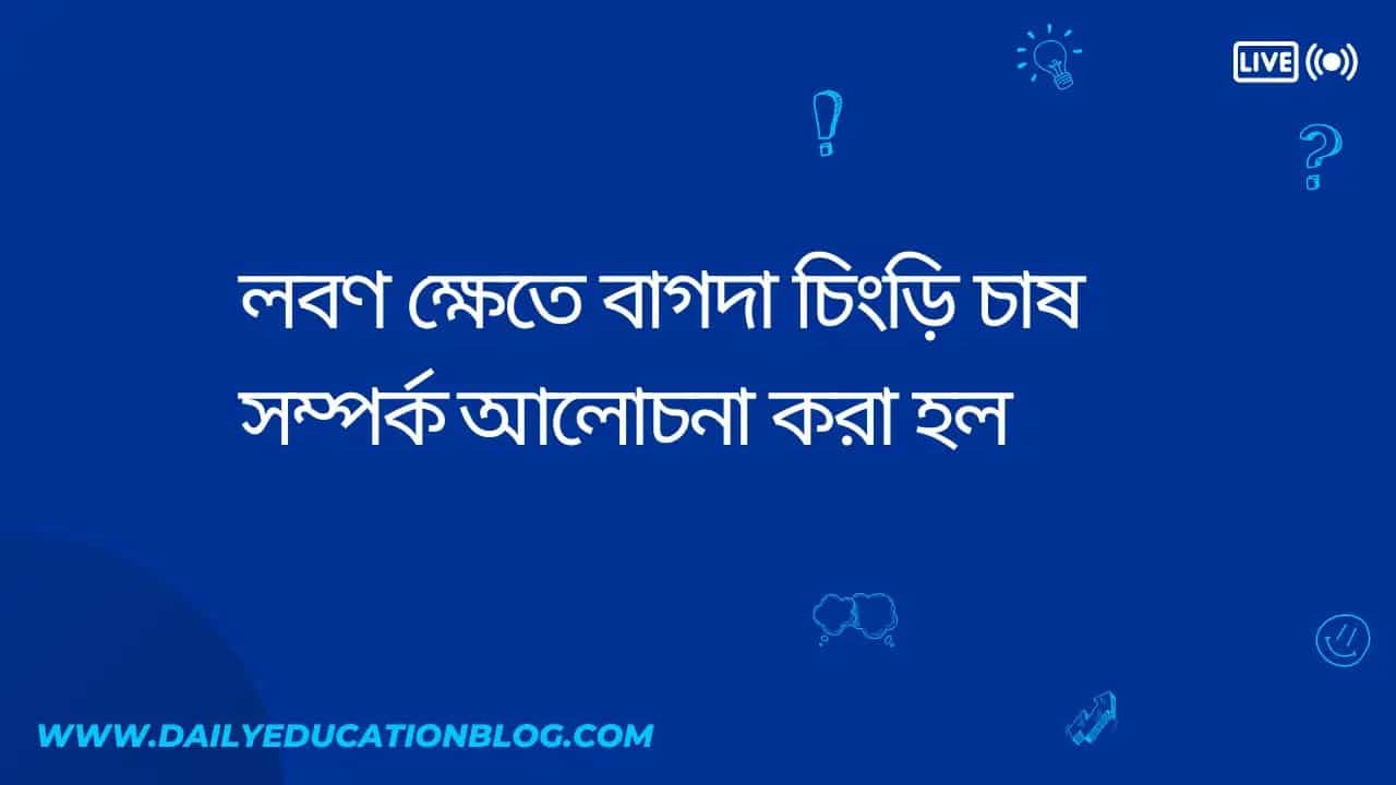 লবণ ক্ষেতে বাগদা চিংড়ি চাষ