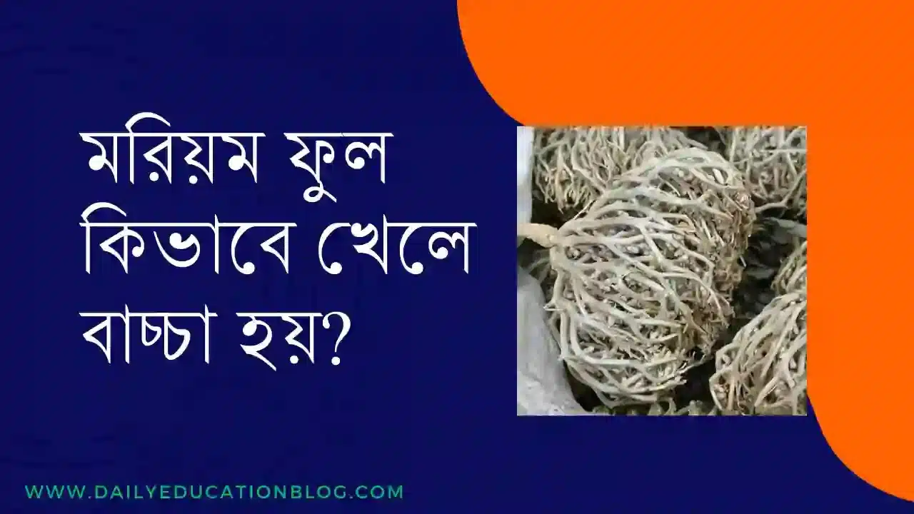 মরিয়ম ফুল কিভাবে খেলে বাচ্চা হয়?