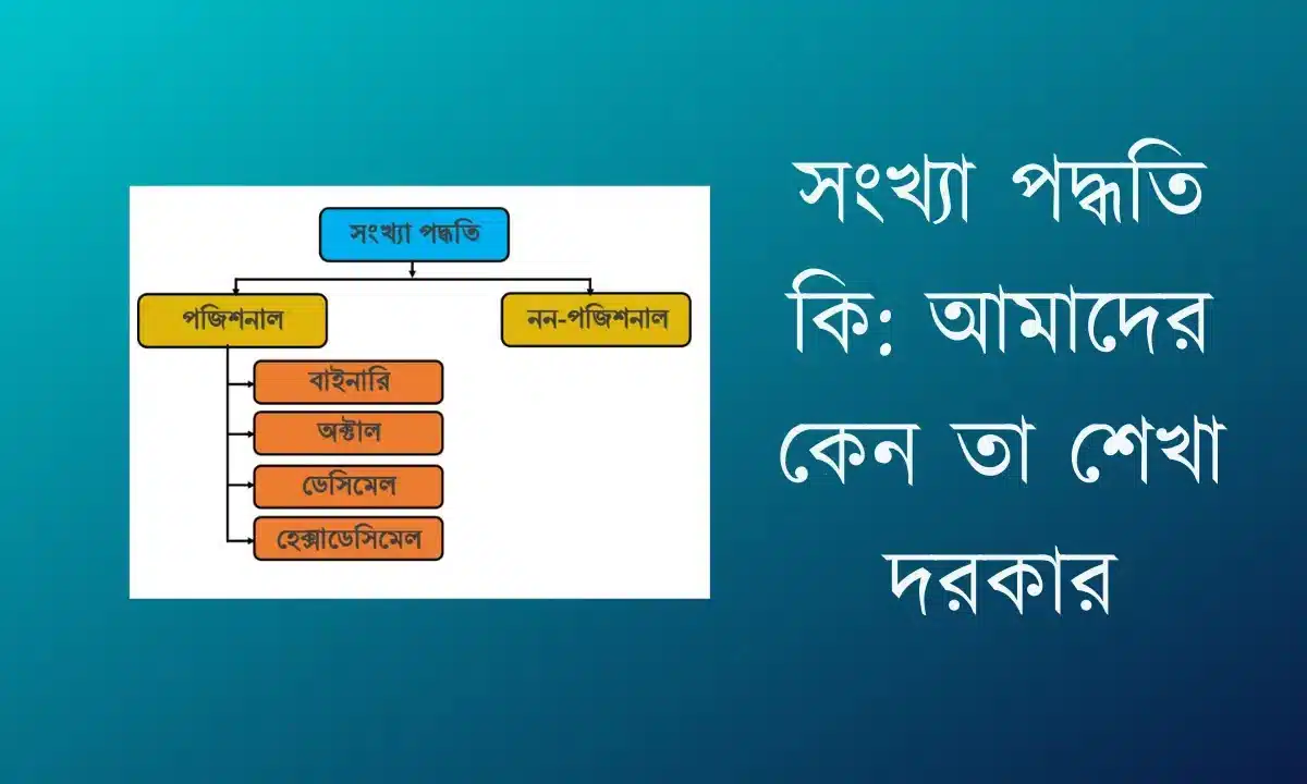 সংখ্যা পদ্ধতি কি: আমাদের কেন তা শেখা দরকার 2026